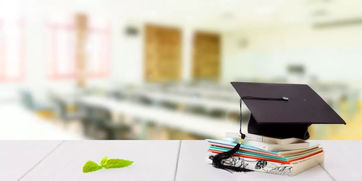 软件工程与学前教育专业的计算机房维护服务 深度解析与实践指南