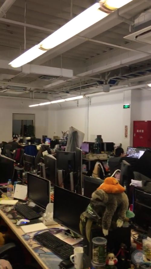 开服即维护的“盛况” 从《仙境传说 守护永恒的爱》服务器事件看游戏运营的挑战